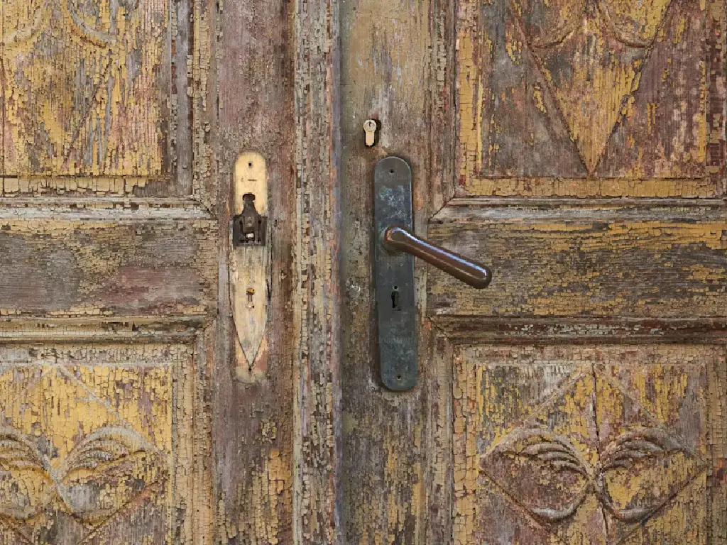 door-with-handle