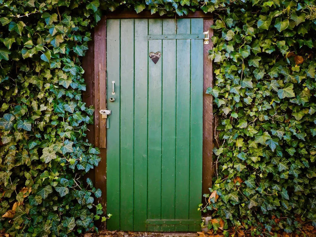 green-door